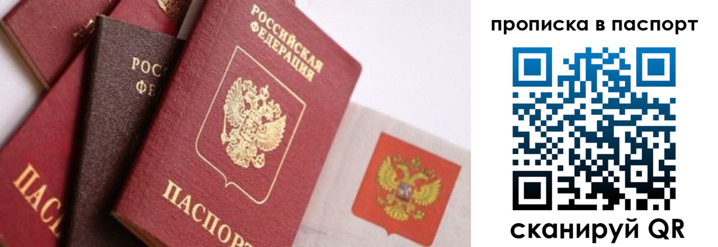прописка штамп в Борзе